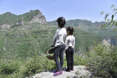 山里长大,岁月流转中的自然记忆