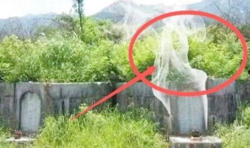 天降龙宝，祖坟又冒青烟了