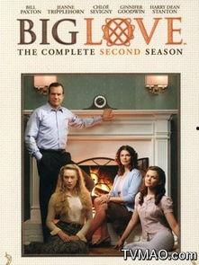 大爱 第二季,情感交织，命运交响